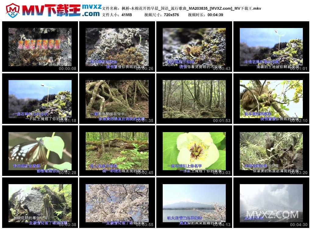 枫桥-木棉花开的早晨_国语_流行歌曲_MA203835